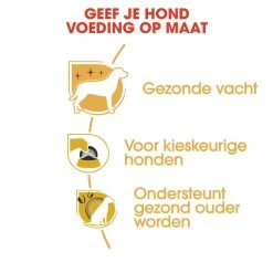 Royal Canin Hondenvoer Yorkshire Terrier Adult 3 Kg -Huisdier Verkoop Winkel royal canin yorkshire terrier adult volwassen hond yorkshire terrier vanaf 10 maanden hero usp